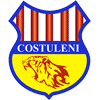 FC Costuleni logo