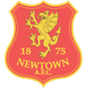 Newtown A.F.C. logo