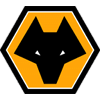 logo duże Wolverhampton