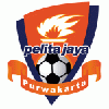 Pelita Jaya logo