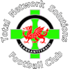 The New Saints F.C. logo